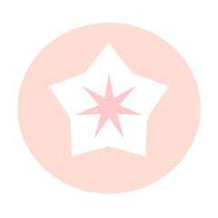 star icon vector illustration