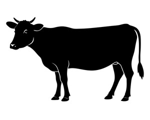 Australian Cow vector silhouette illustration isolated on white background