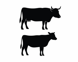 Australian Cow icon vector silhouette illustration isolated on white background
