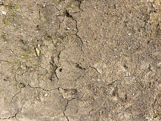 Texture ground, seamless texture ground