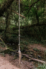 Une corde dans le lit d'un ruisseau