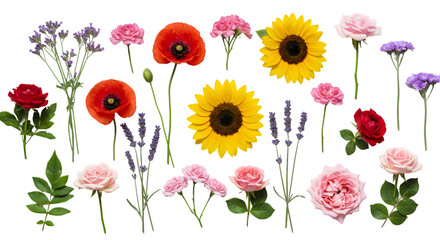 Fototapeta premium Vibrant Collection of Summer Flowers on White Background on transparent background