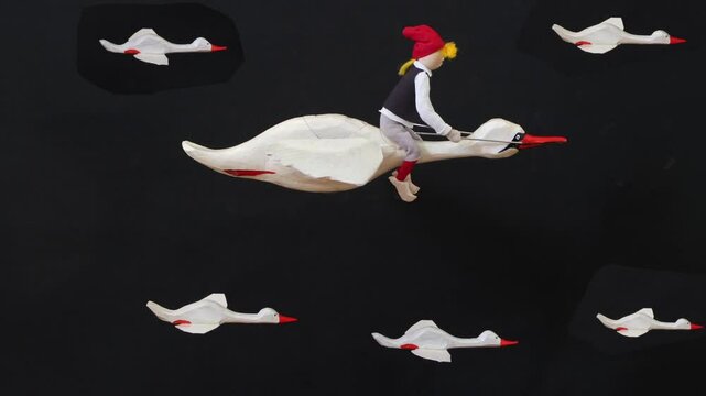 mother goose and boy nils, white geese swans