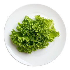 Fototapeta premium Fresh green lettuce on a transparent plate isolated against a clean transparent background perfect for culinary presentations, lettuce on the transparent plate isolated on transparent background