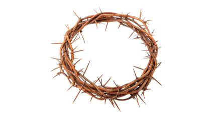 Crown of thorns isolated on transparent background