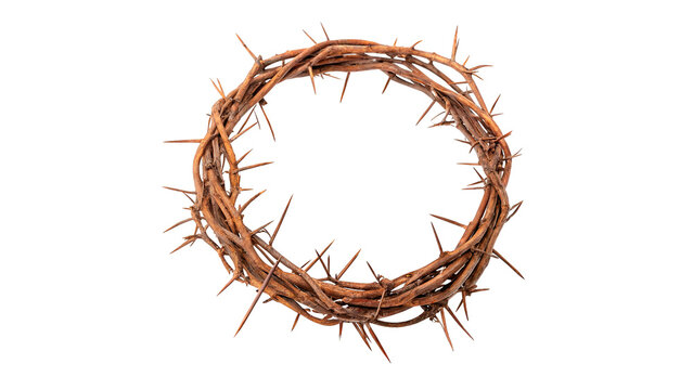 Crown of thorns isolated on transparent background