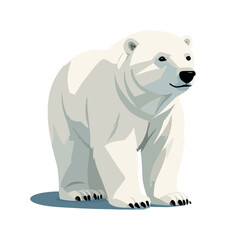 Cute polar bear vector graphic and illustration