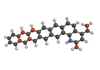 Complex Organic Molecule 3D Model isolated on transparent background