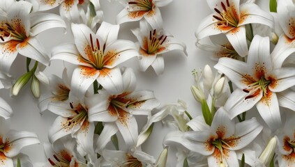 Obraz premium white background with small floral 3d lilies .