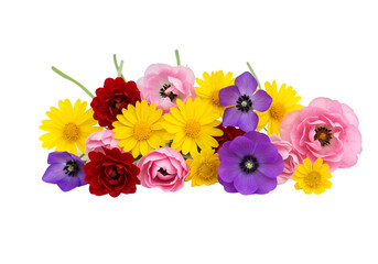 Vibrant Spring Flower Bouquet Colorful Ranunculus Chrysanthemum and Anemone Blooms isolated on transparent background