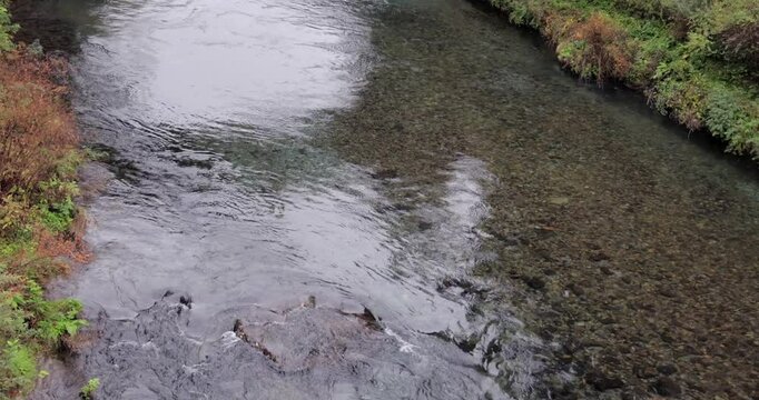 Calm current of the transparent Daiya River in Nikko, Japan, during autumn season with colorful foliage on riverbanks and visible stones under the clear flowing water