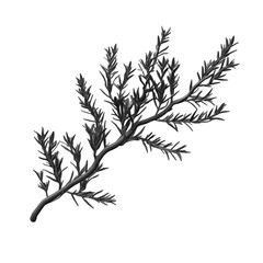 Obraz premium Black branch with leaves against geometric background abstract art