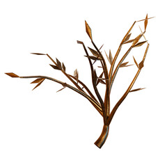 wheat, agriculture, grain, food, cereal, ear, plant, corn, isolated, bread, crop, barley, white, nature, seed, harvest, yellow, gold, rye, golden, ears, natural, summer, ripe, spike
