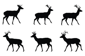 Set of deer and stag silhouettes in various standing and walking poses isolated on white background
