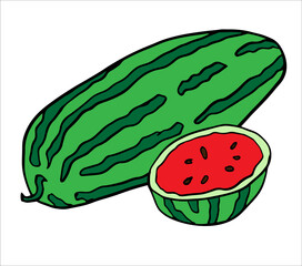 Elongated watermelon variety with red flesh and a cut piece. Colorful hand drawn illustrations collection for summer themes, food icons, recipes, prints or children's designs.