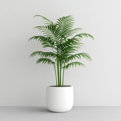 Obraz premium Plant in white pot indoors