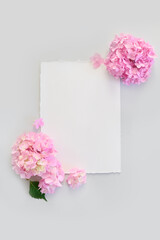 Festive empty white blank or invitation with pink hydrangea on pastel gray background. Wedding invitation. Flower composition with copy space.