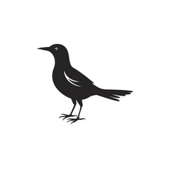 Black bird silhouette vector