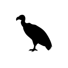 Vulture silhouette bird icon