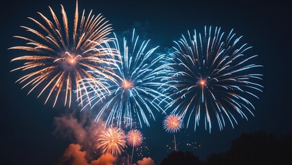 Explosive fireworks lighting up the dark sky
