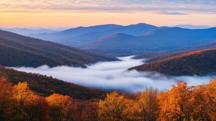 Beautiful mountain vista showing valley fog and autumn leaf colors