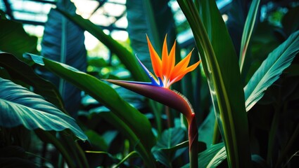 Obraz premium Close-up View of Interior Garden Plants