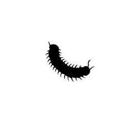 Centipede silhouette cartoon. Vector illustration 