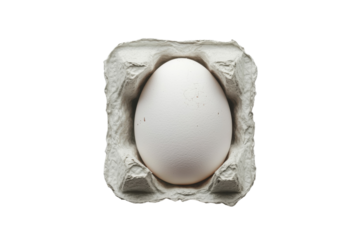 Single white egg in grey cardboard egg carton on white background minimalist simple pure