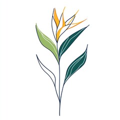 Abstract Illustration of Bird of Paradise Flower