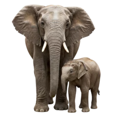 Selbstklebende Fototapeten Elefant Majestic African elephant and calf powerful bond dark background stunning detail intense gaze  © AI Creatives Studio