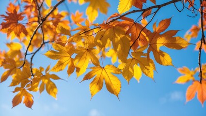 Obraz premium Background filled with autumn leaves and text area available