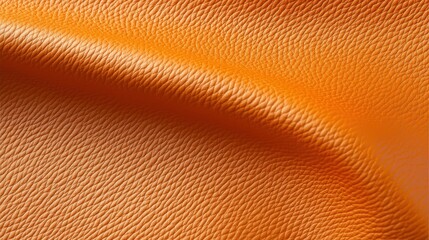 A close-up image of a textured orange surface.