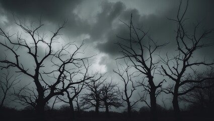 Obraz premium A cluster of eerie trees at Halloween time.