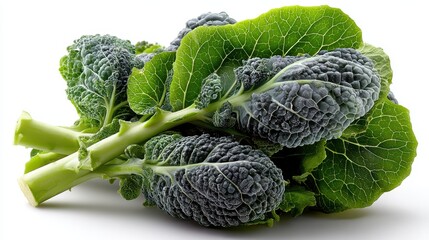 a fresh bunch of kale on a white isolated background, vibrant and leafy green design