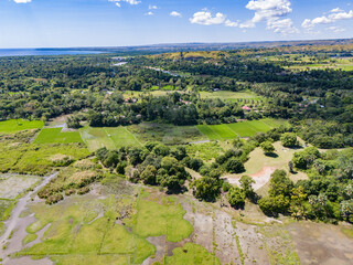Fototapeta premium There is still ample space for rice fields in the center of Waingapu city