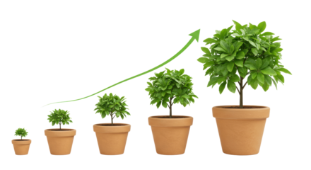 Isolated Growing Plants in Pots with Upward Arrow