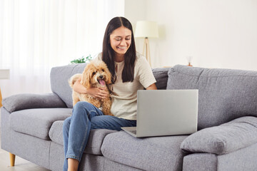 Portrait of a young smiling happy woman freelancer sitting on sofa in the living room resting on...