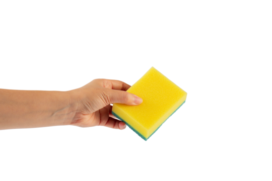Brush household, cleaning sponge for cleaning and hand on transparent background. 