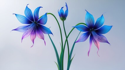Background featuring isolated cornflowers
