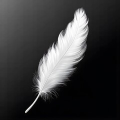 A single white feather isolated against a dark gradient background