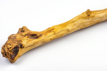 Fototapeta premium Close-up view of a natural wooden branch.
