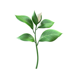Fototapeta premium Green plant with white flower in striped background design