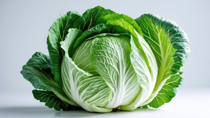 Obraz premium Complete cabbage displayed on a white surface