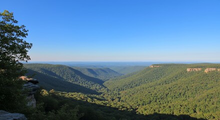 Naklejka premium Panoramic view of a green valley with forest and mountains under a clear blue sky