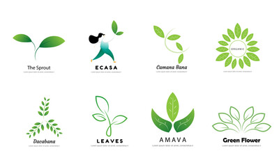 logo with flowing leaf for natural lifestyle brand