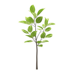 Obraz premium Green plant with vibrant multicolored striped background nature art design