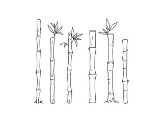 Elegant Bamboo Stake Design for Natural Decor and Support 