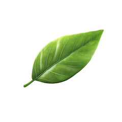 Obraz premium Green leaf on abstract background nature freshness ecology