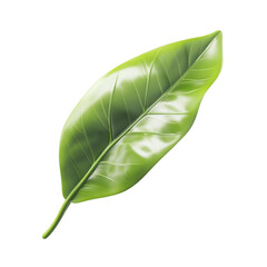 Fototapeta premium Single green leaf on white background with colorful lines