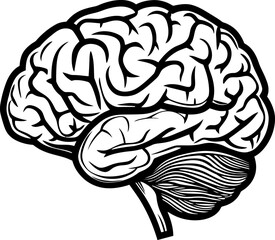 Human brain icon silhouette in black color. Vector template design.